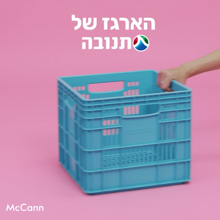 תנובה — רשתות חברתיות | רון כהן סטודיו הפקה